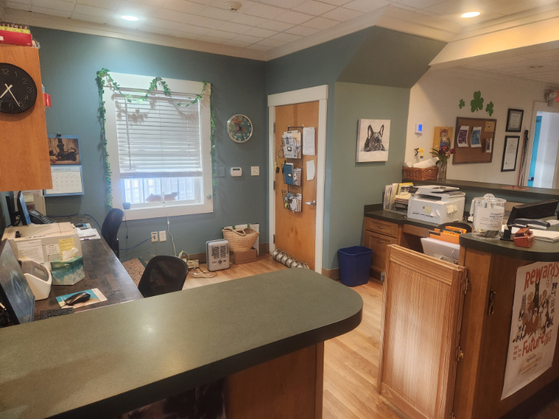 Policies and Payment