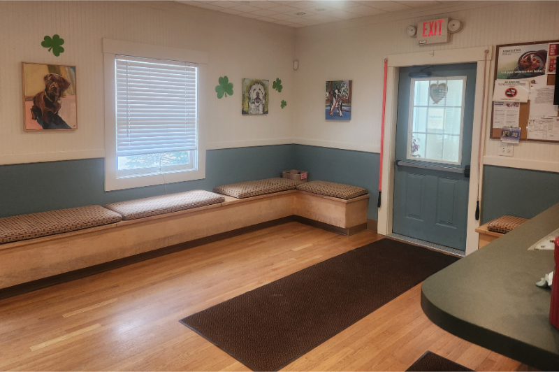 Policies and Payment